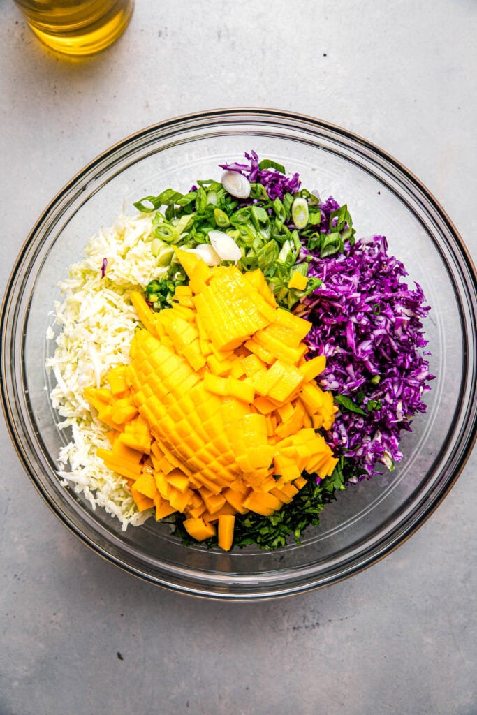 Ingredients for mango slaw in bowl before combining.