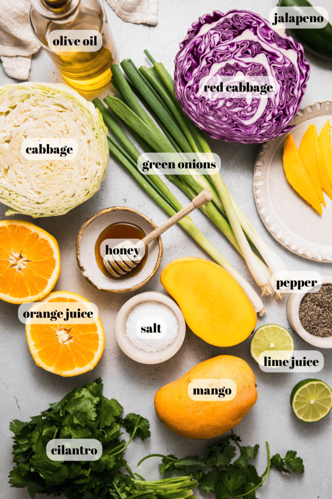 Ingredients for mango slaw labeled on counter.