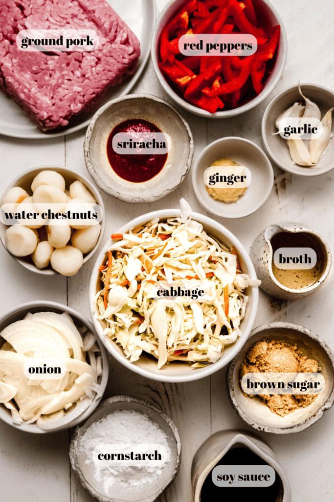 Ingredients for ground pork stir fry labeled on counter.